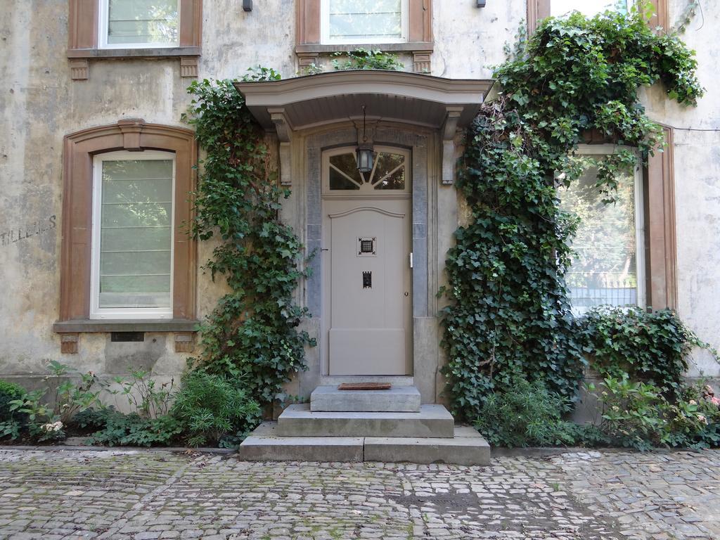 B&B Les Tilleuls วีแยลซาลม์ ภายนอก รูปภาพ