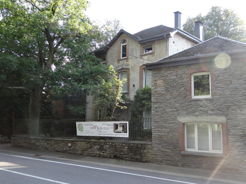 B&B Les Tilleuls วีแยลซาลม์ ภายนอก รูปภาพ