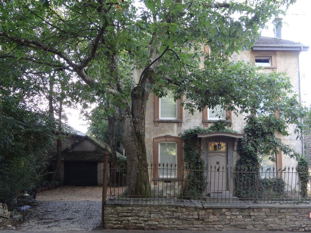 B&B Les Tilleuls วีแยลซาลม์ ภายนอก รูปภาพ