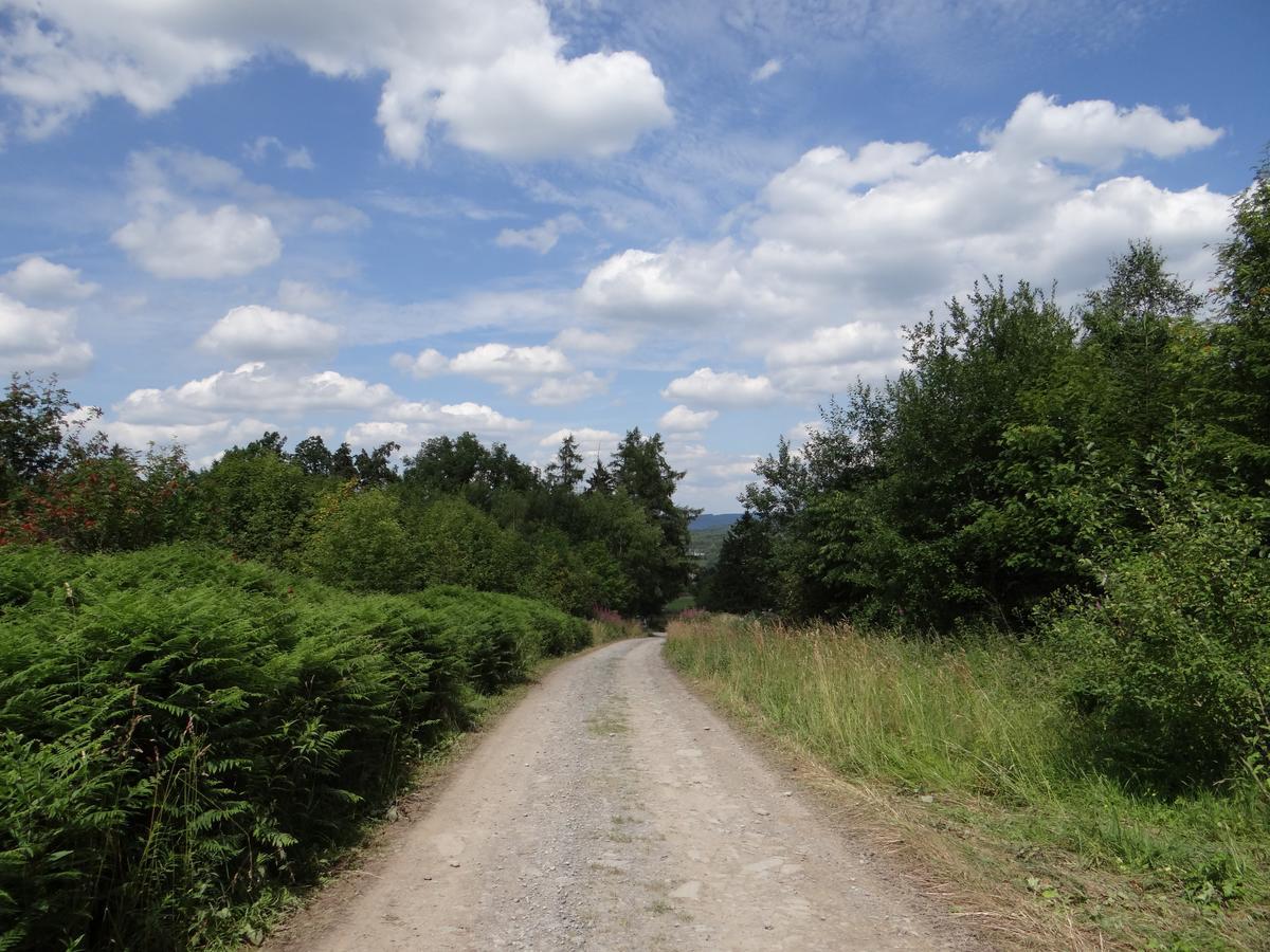 B&B Les Tilleuls วีแยลซาลม์ ภายนอก รูปภาพ